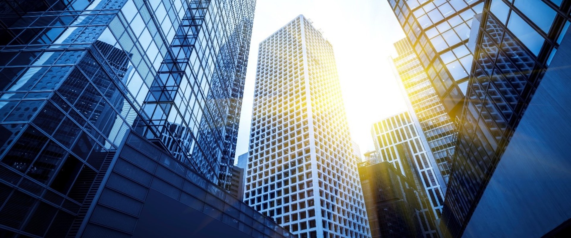 Exploring Alternative Investments for Wealth Growth