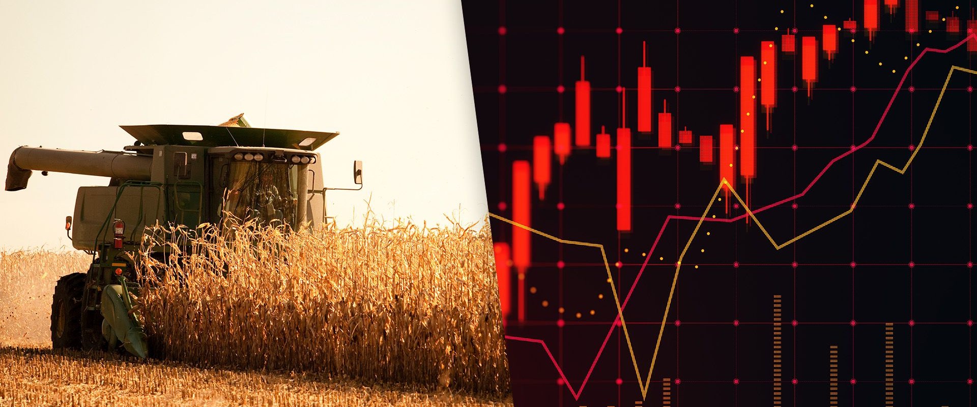 Maximizing Investment Returns Through Strategic Tax-Loss Harvesting